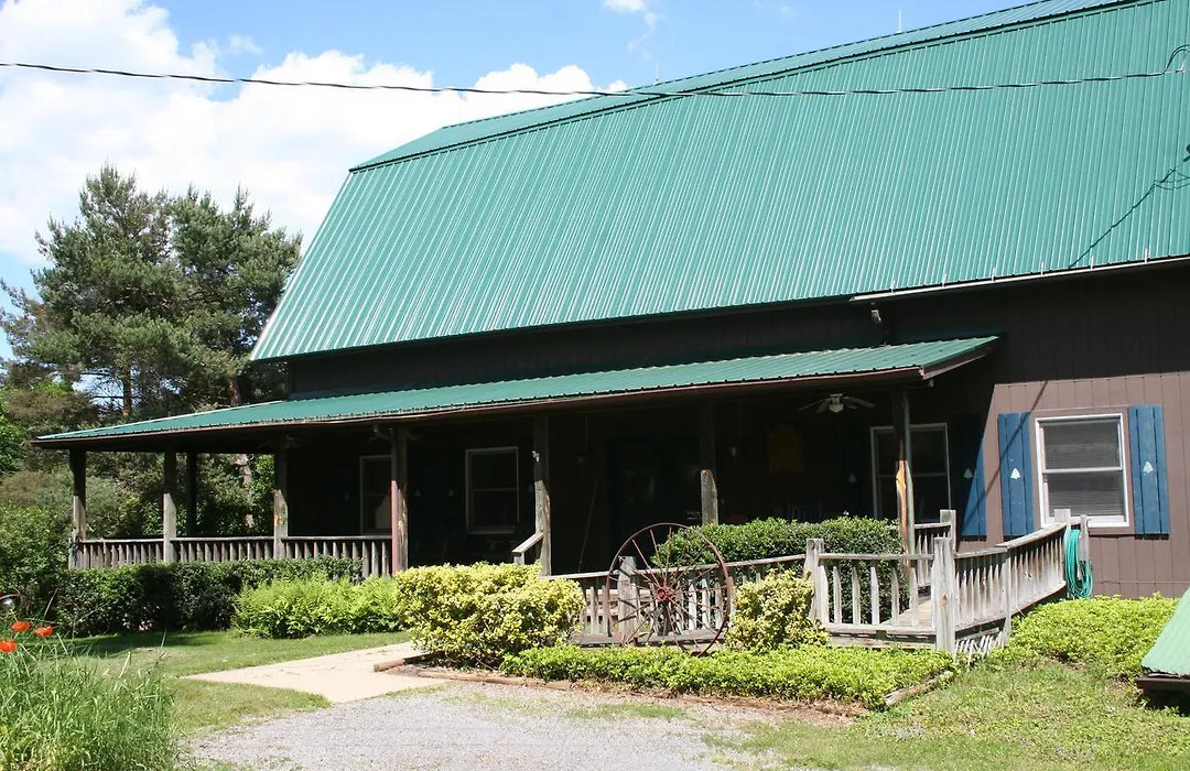 The South Glenora Tree Farm-1