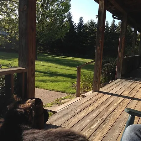 The South Glenora Tree Farm-2